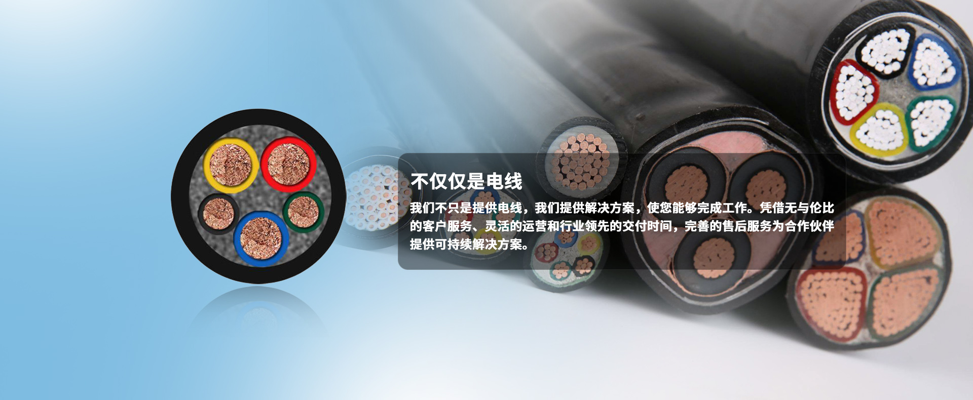 我們深耕行業(yè)20年